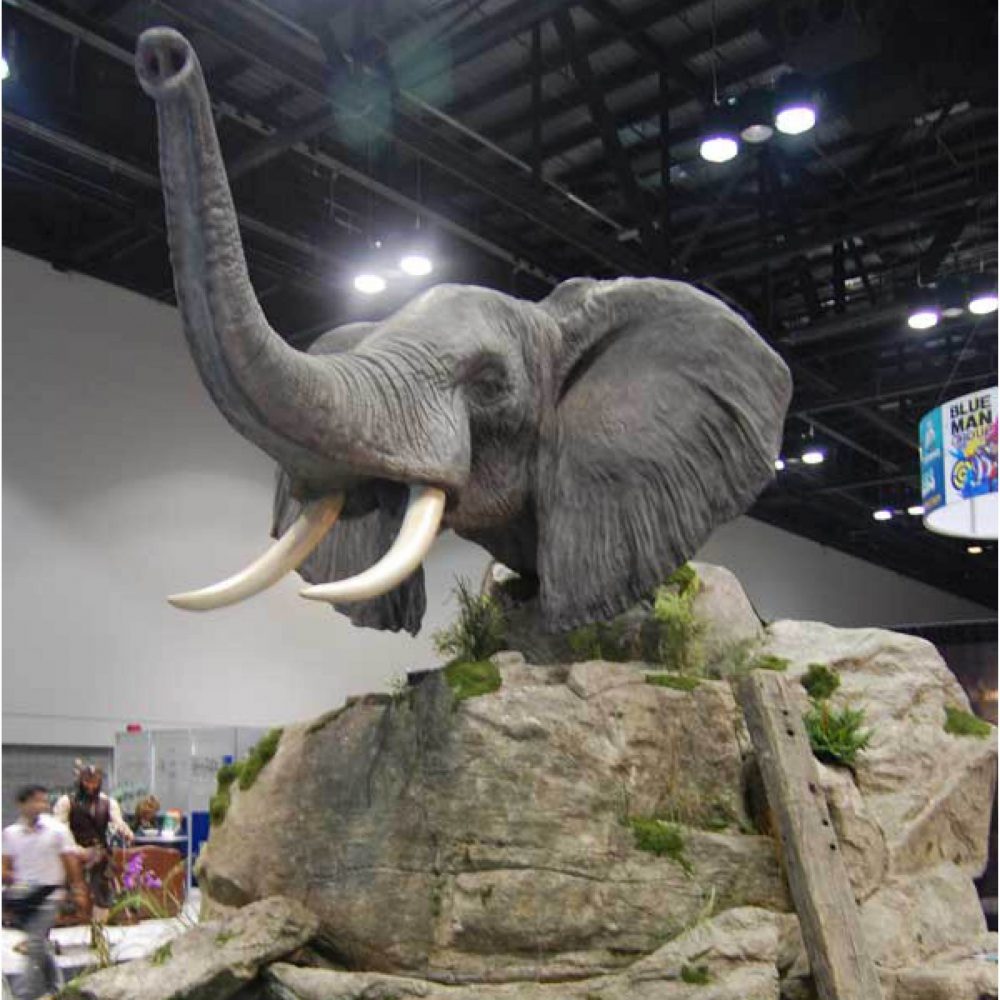 African Elephant on giant rock boulder