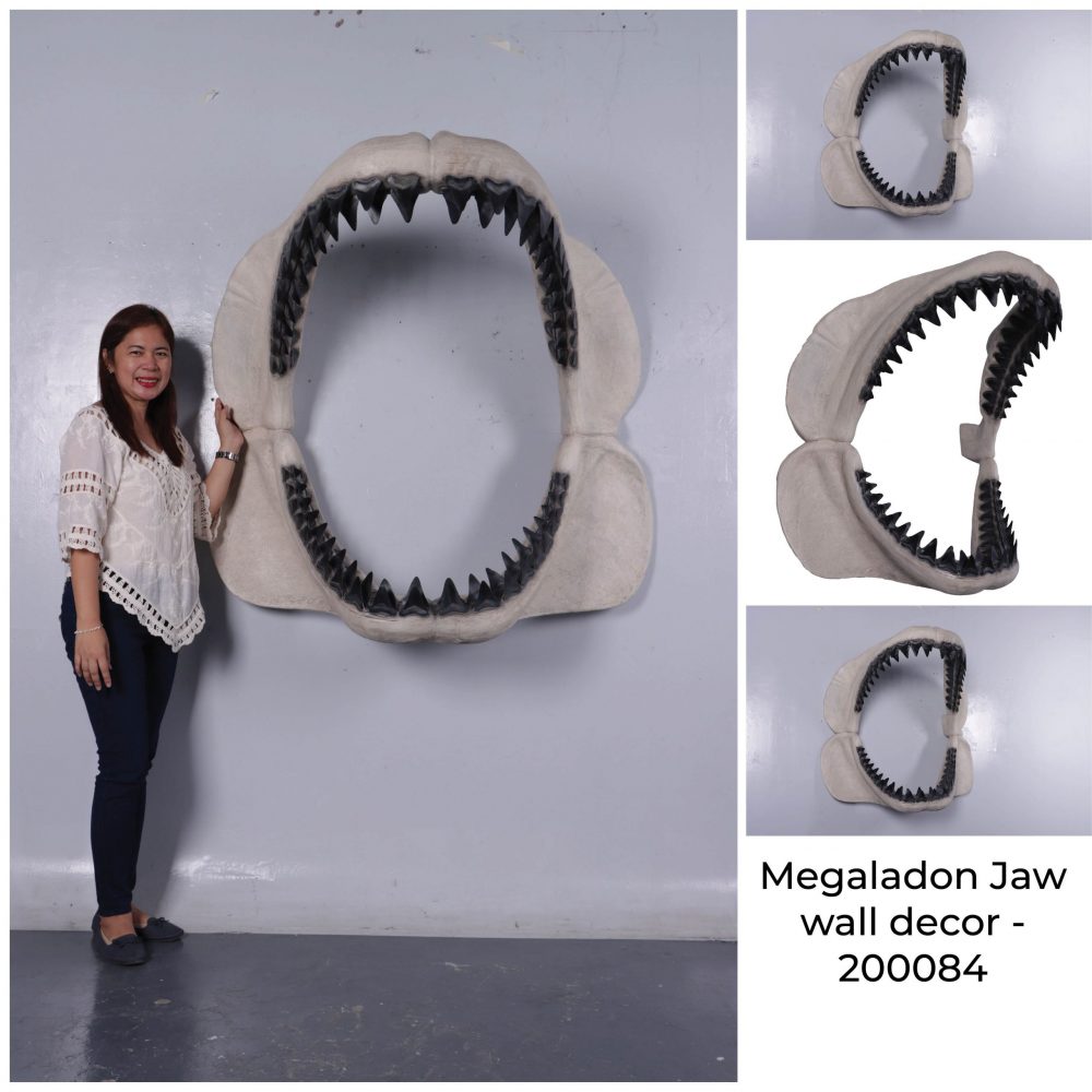Megalodon Jaw - Wall Decor Prehistoric shark jaw - 146cm high If you would like to make an impact but do not have a lot of floor space - why not choose the wall-mounted Megalodon Jaw? Giant shark Jaw – with upper and lower teeth Wall Decor prop with Brackets Wall mount Giant prehistoric sea monster teeth prop Two rows of teeth that replicate our prehistoric Megalodon shark Fearful set of Giant sharks teeth realistic prop