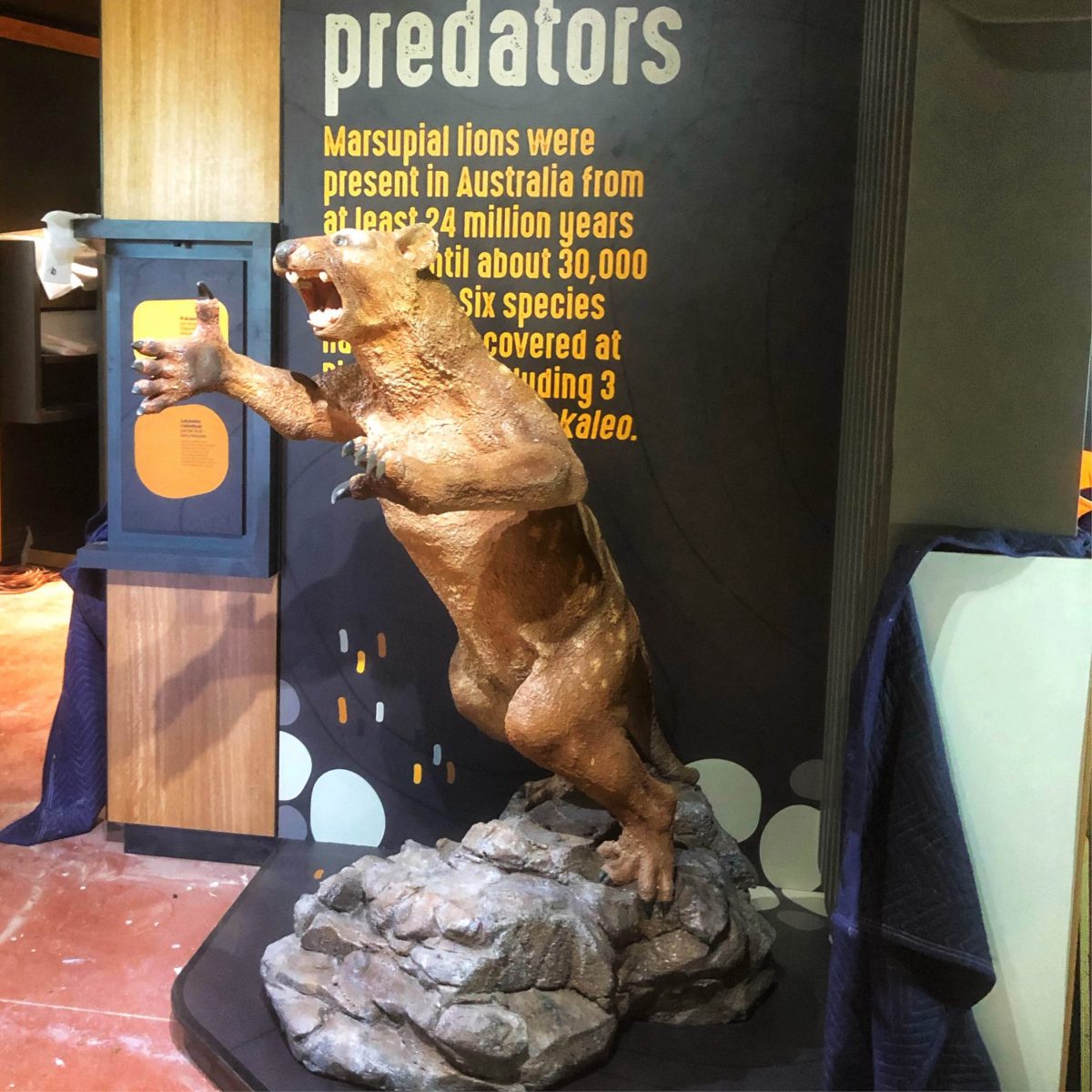 Natureworks Australia Thylacoleo leaping on rock base- sculpture