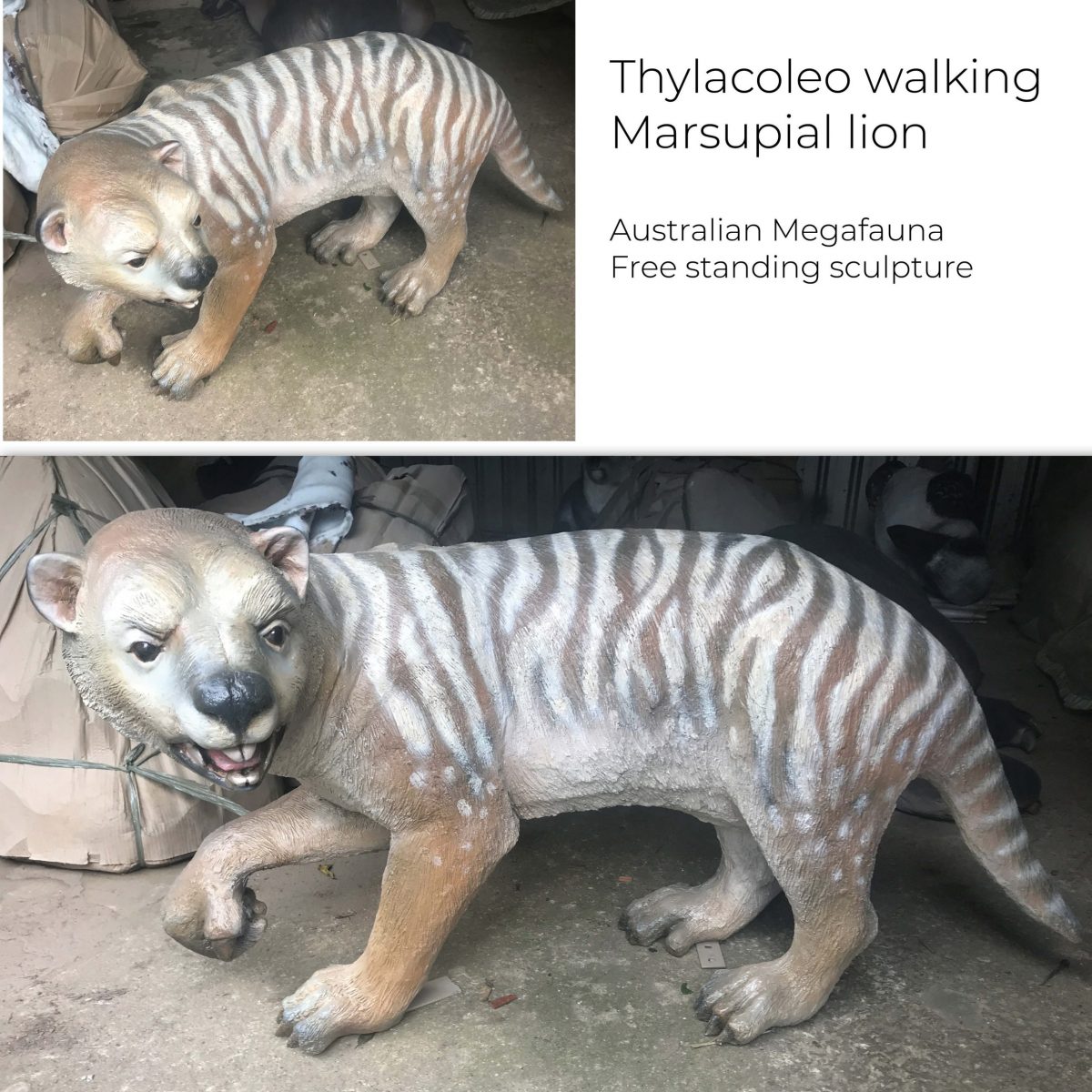 Natureworks Australia Thylacoleo walking - Free standing - Image 4