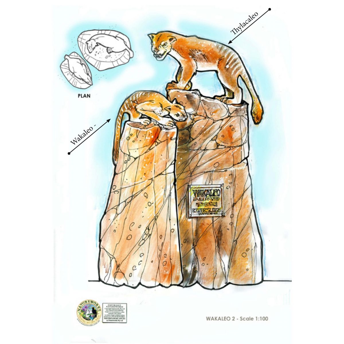 Natureworks Australia Thylacoleo walking - Free standing - Image 2