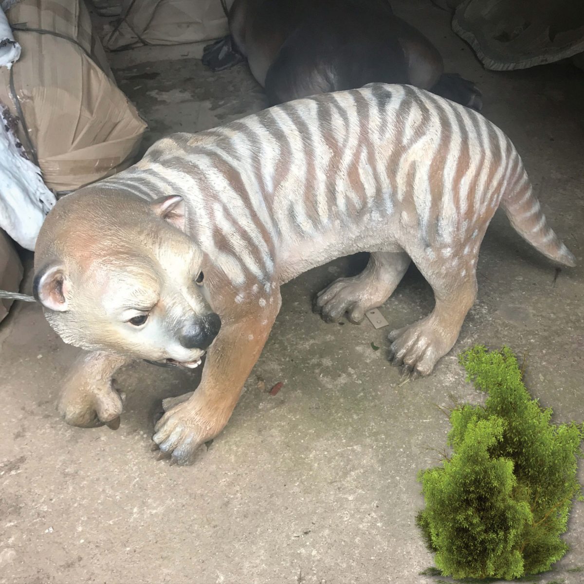 Natureworks Australia Thylacoleo walking - Australian Megafauna marsupial lion sculpture