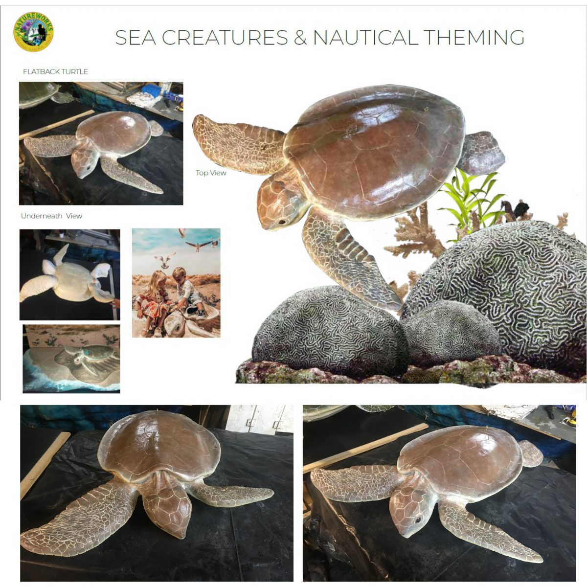 Natureworks Australia Flatback Turtle museum quality sculpture