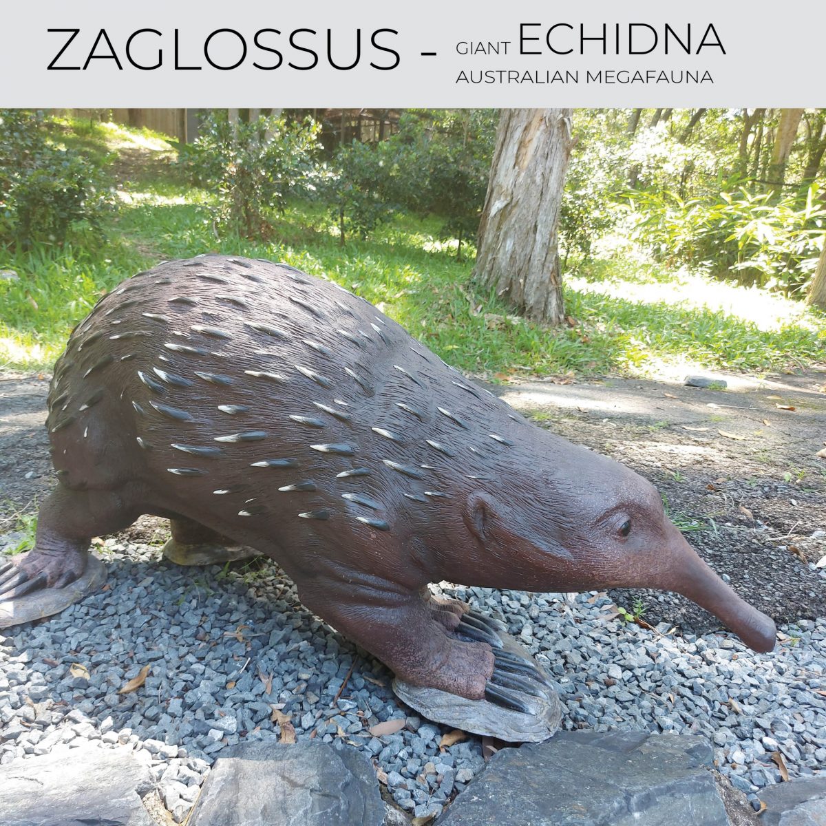 Natureworks Australia Zaglossus hacketti - Giant Echidna - Megafauna Sculpture