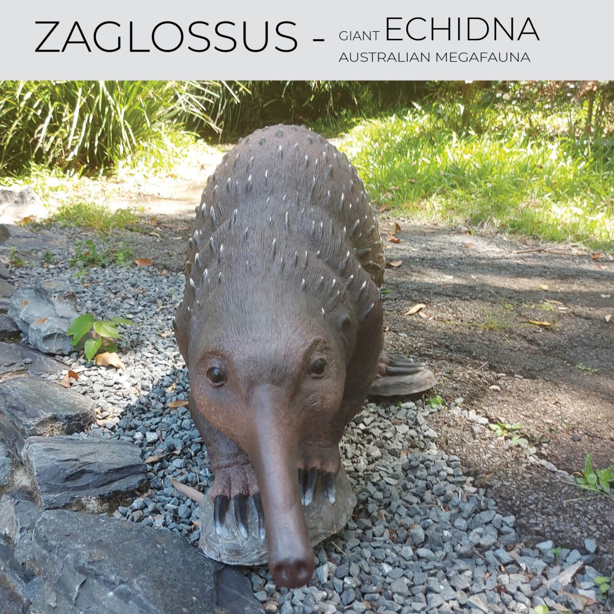 Natureworks Australia Zaglossus hacketti - Giant Echidna - Megafauna Sculpture