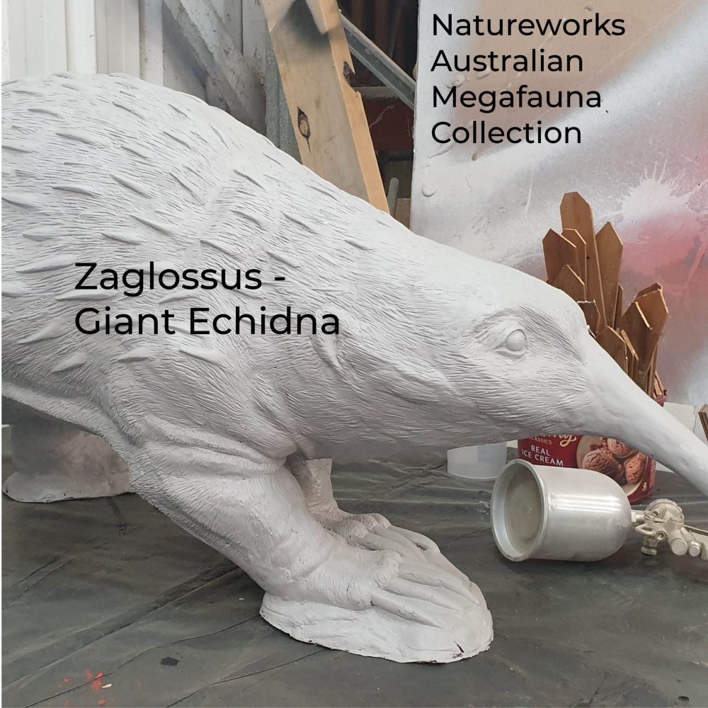 Zaglossus hacketti - Giant Echidna - Megafauna Sculpture - in production