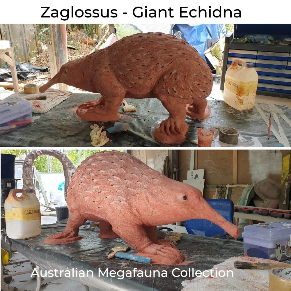 Zaglossus hacketti - Giant Echidna - Megafauna Sculpture - in production