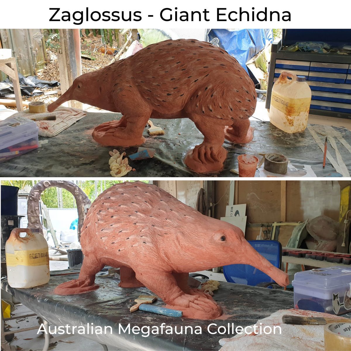 Natureworks Australia Zaglossus hacketti - Giant Echidna - Megafauna Sculpture - in production