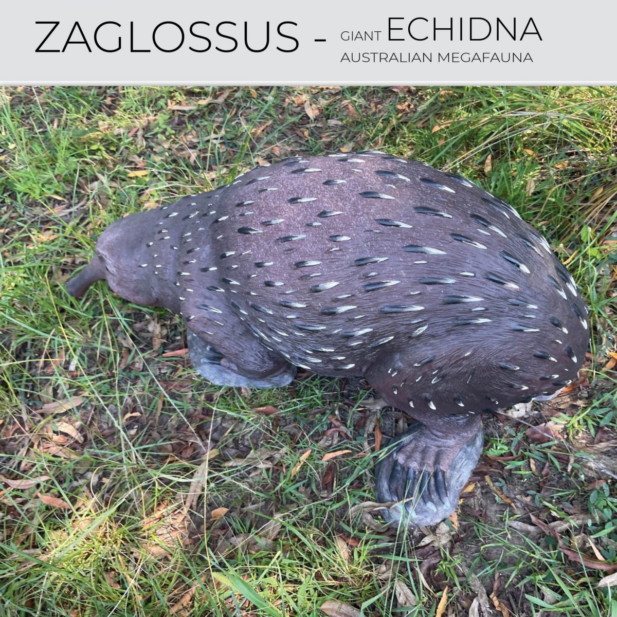 Natureworks Australia Zaglossus hacketti - Giant Echidna - Megafauna Sculpture