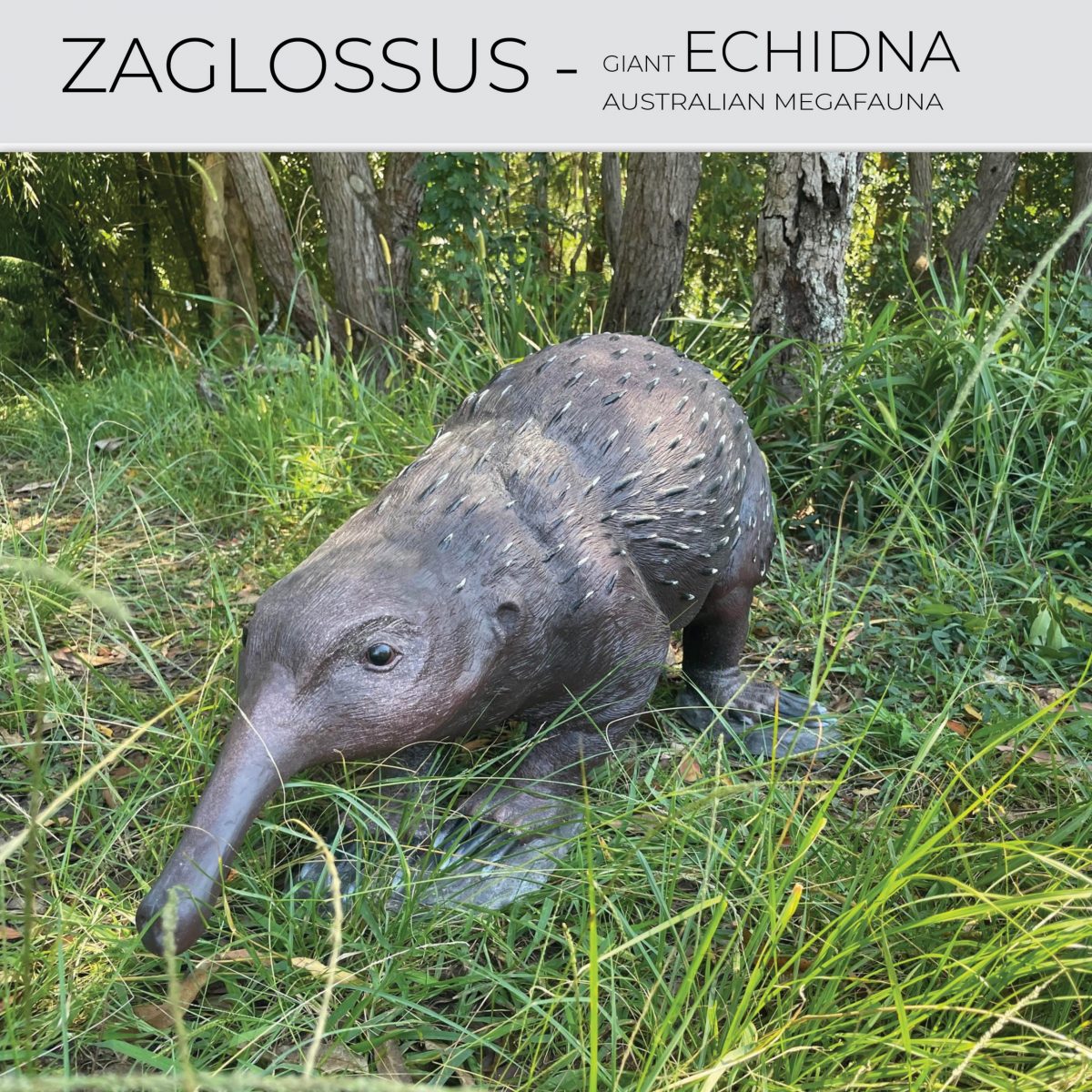 Natureworks Australia Zaglossus hacketti - Giant Echidna - Megafauna Sculpture