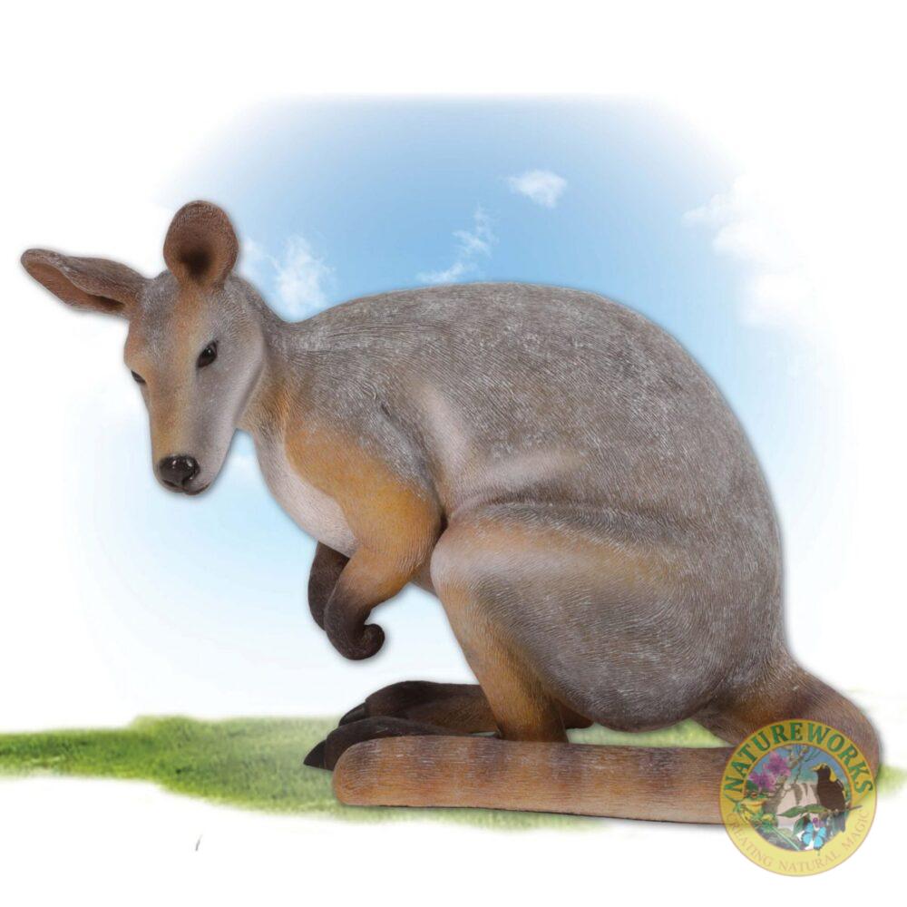 Yellow footed rock wallaby -Australian unique mammal statue