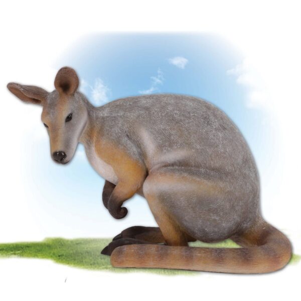Yellow footed rock wallaby -Australian unique mammal statue