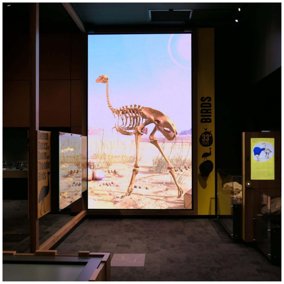 Natureworks Australia Demon Duck of Doom - Image 3