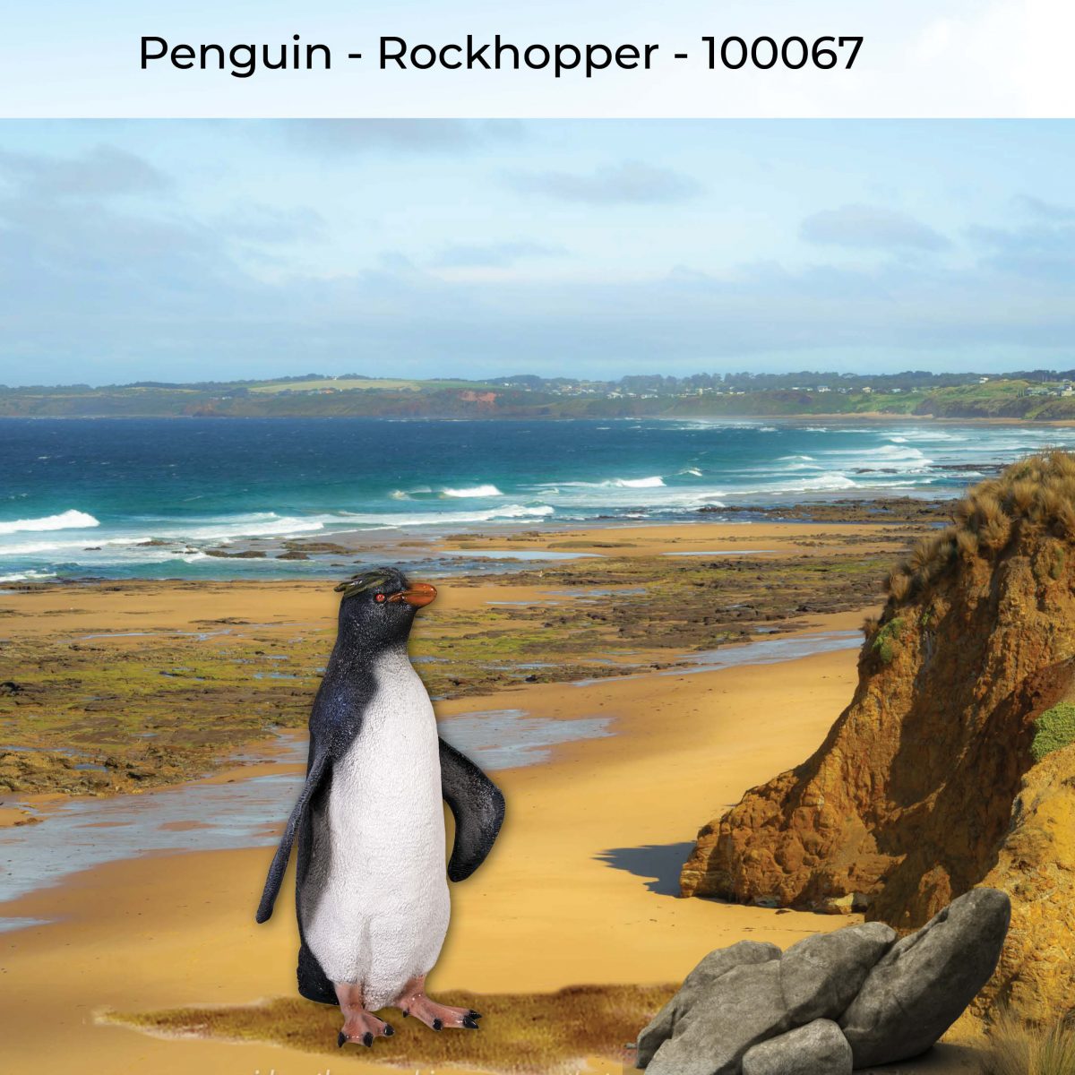 Natureworks Australia Penguine - rockhopper statue - life-size for sale