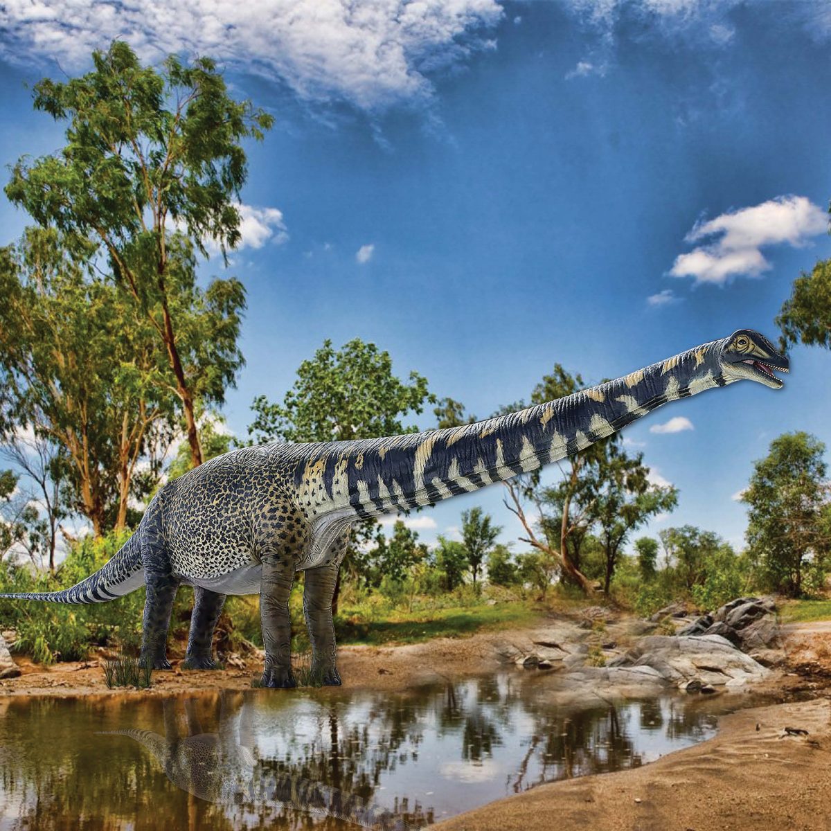 Natureworks Australia Australotitan cooperensis Adult sauropod 13.5m long Dinosaur Sculpture - Australia's largest dinosaur