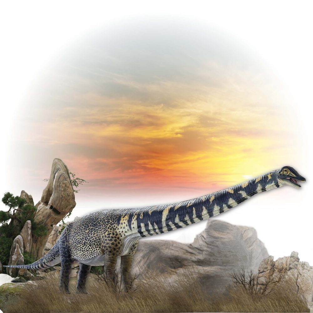 Australotitan cooperensis Adult sauropod 13.5m long Dinosaur Sculpture outside