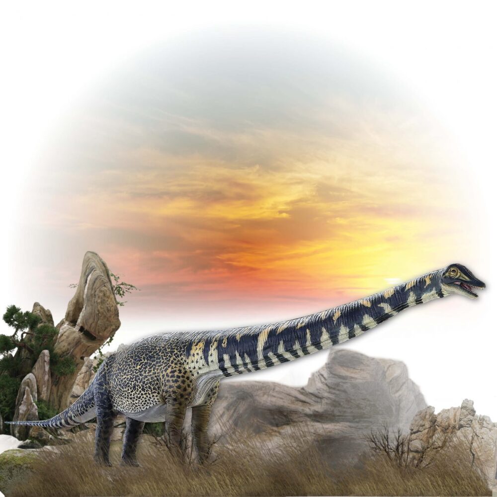 Australotitan cooperensis Adult sauropod 13.5m long Dinosaur Sculpture outside