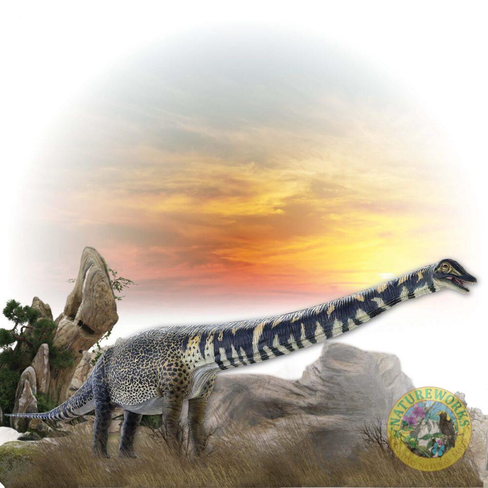 Australotitan cooperensis Adult sauropod 13.5m long Dinosaur Sculpture outside