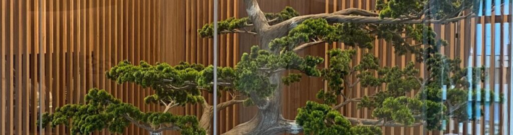 Tree in the reception area