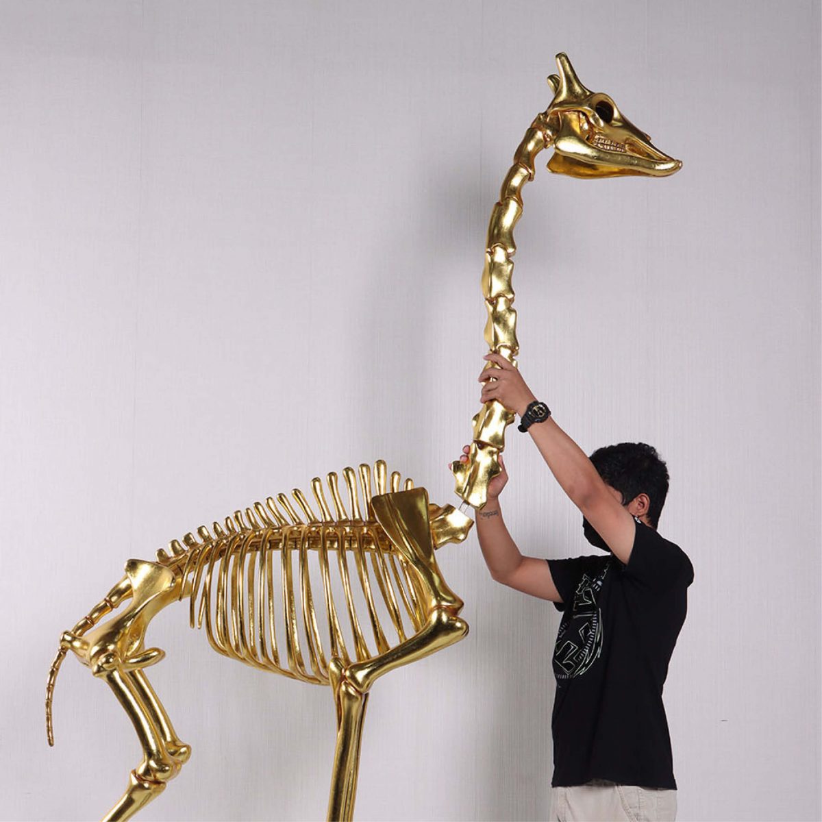 Natureworks Australia Giraffe Skeleton 8ft standing on metal base plate with Gold Leaf finish