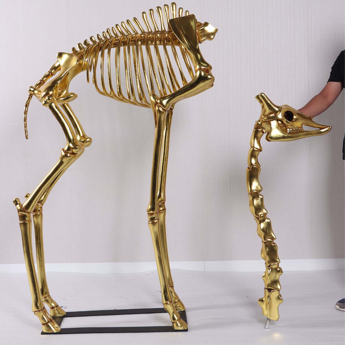 Natureworks Australia Giraffe Skeleton 8ft standing on metal base plate with Gold Leaf finish