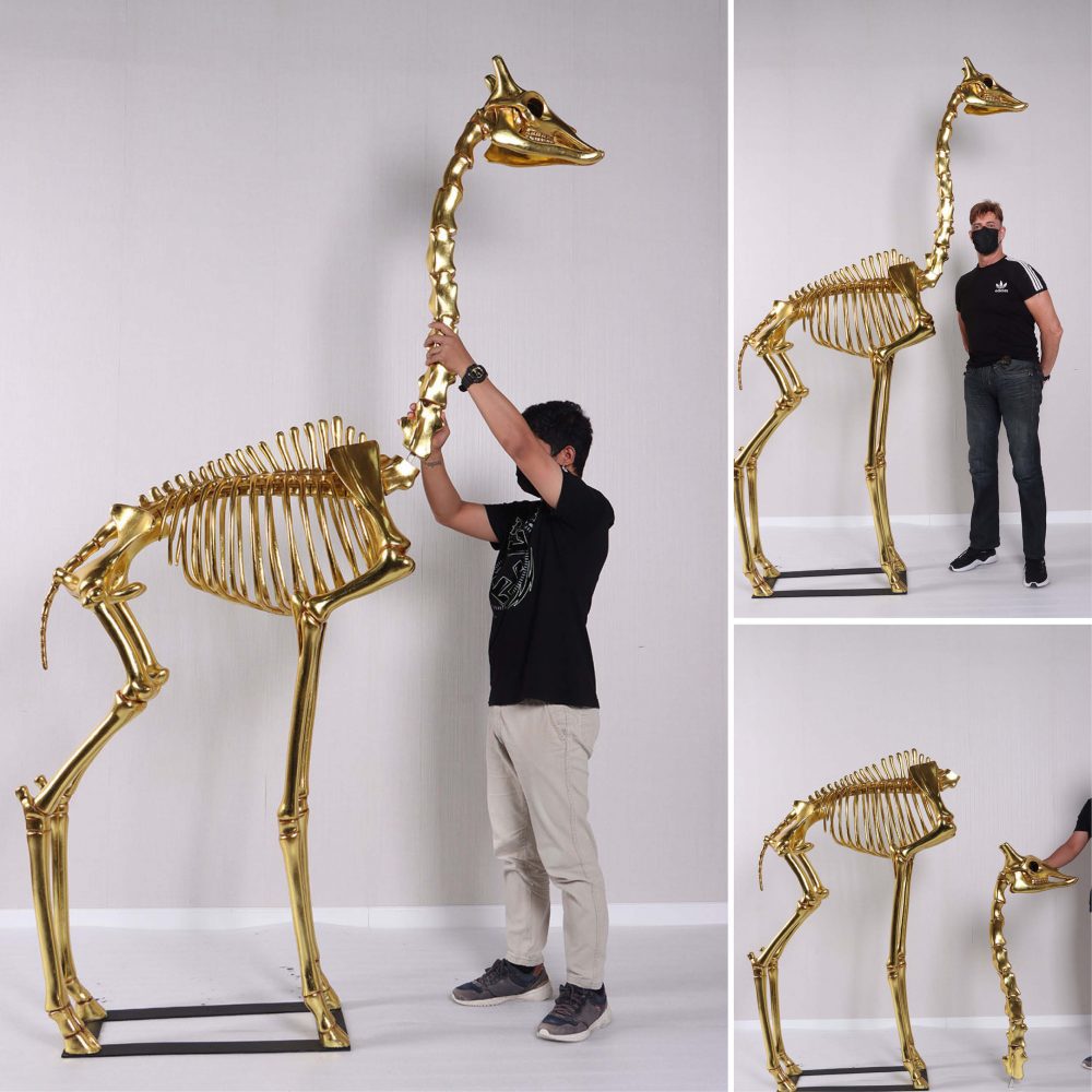 Giraffe Skeleton 8ft standing on metal base plate with Gold Leaf finish