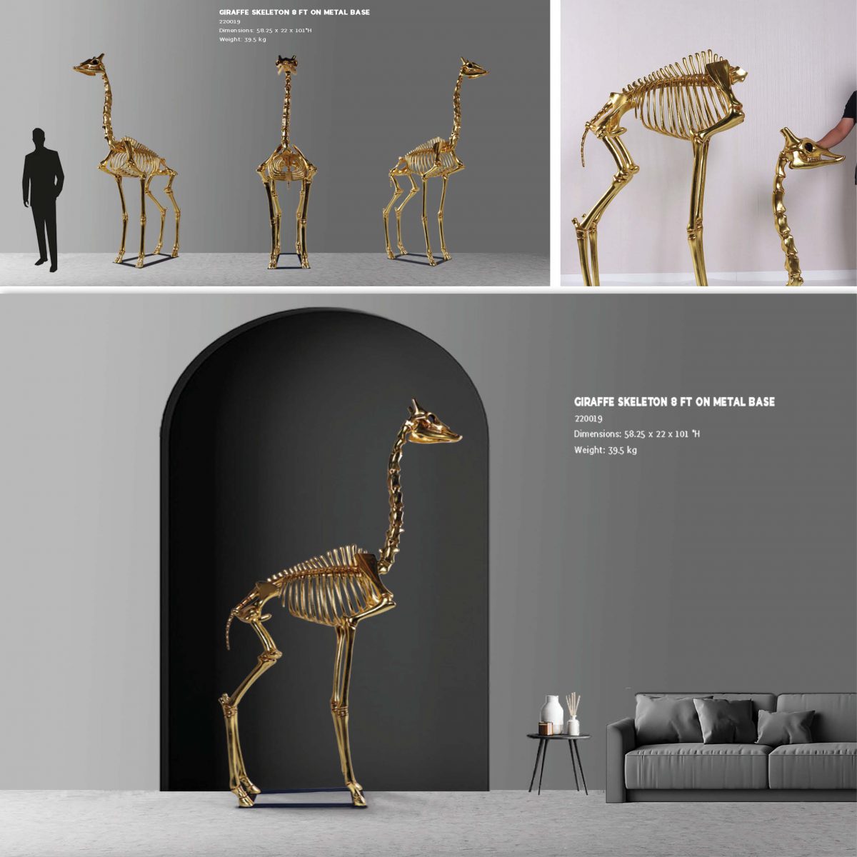 Natureworks Australia Giraffe Skeleton 8ft standing on metal base plate with Gold Leaf finish