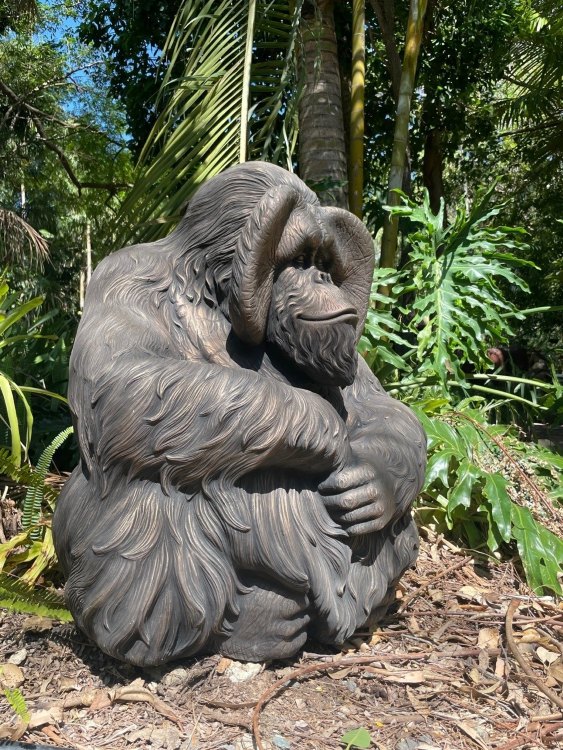 Natureworks Australia Orangutan Male Sitting - Image 8