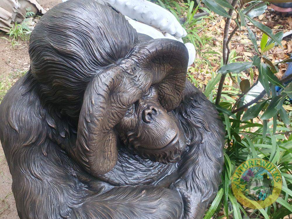 Natureworks Australia Orangutan Male Sitting - Image 11