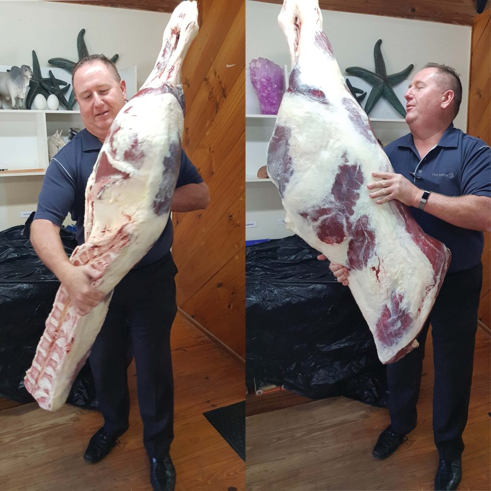 Sides of beef fake replica - L 1450 x W 500 x H 260cm