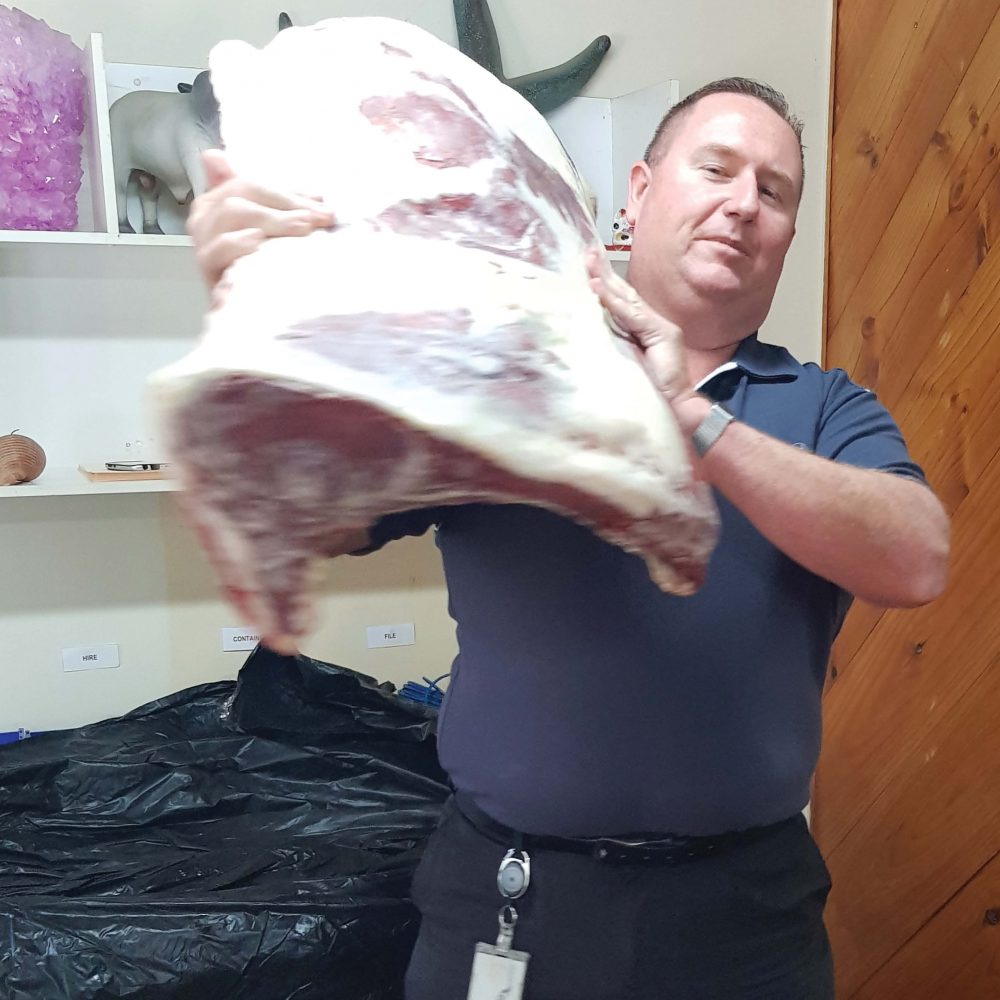 Sides of beef fake replica - L 1450 x W 500 x H 260cm