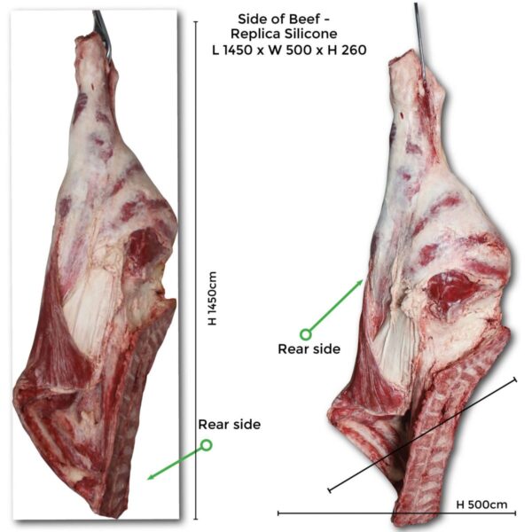 Sides of beef fake replica - L 1450 x W 500 x H 260cm