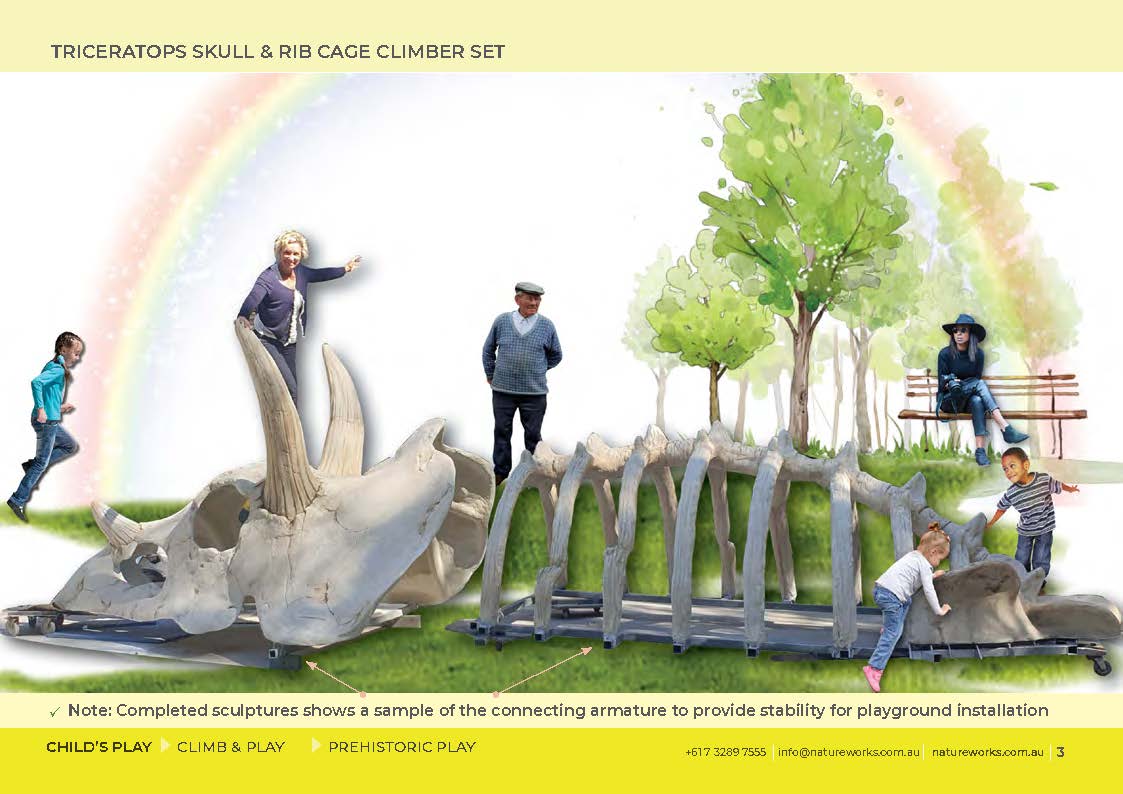 Natureworks Australia Triceratops Skull & Rib Cage Playground Climber - Image 17