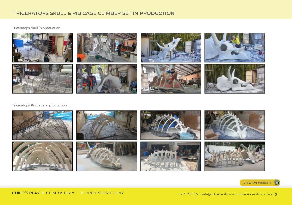 Natureworks Australia Triceratops Skull & Rib Cage Playground Climber - Image 15