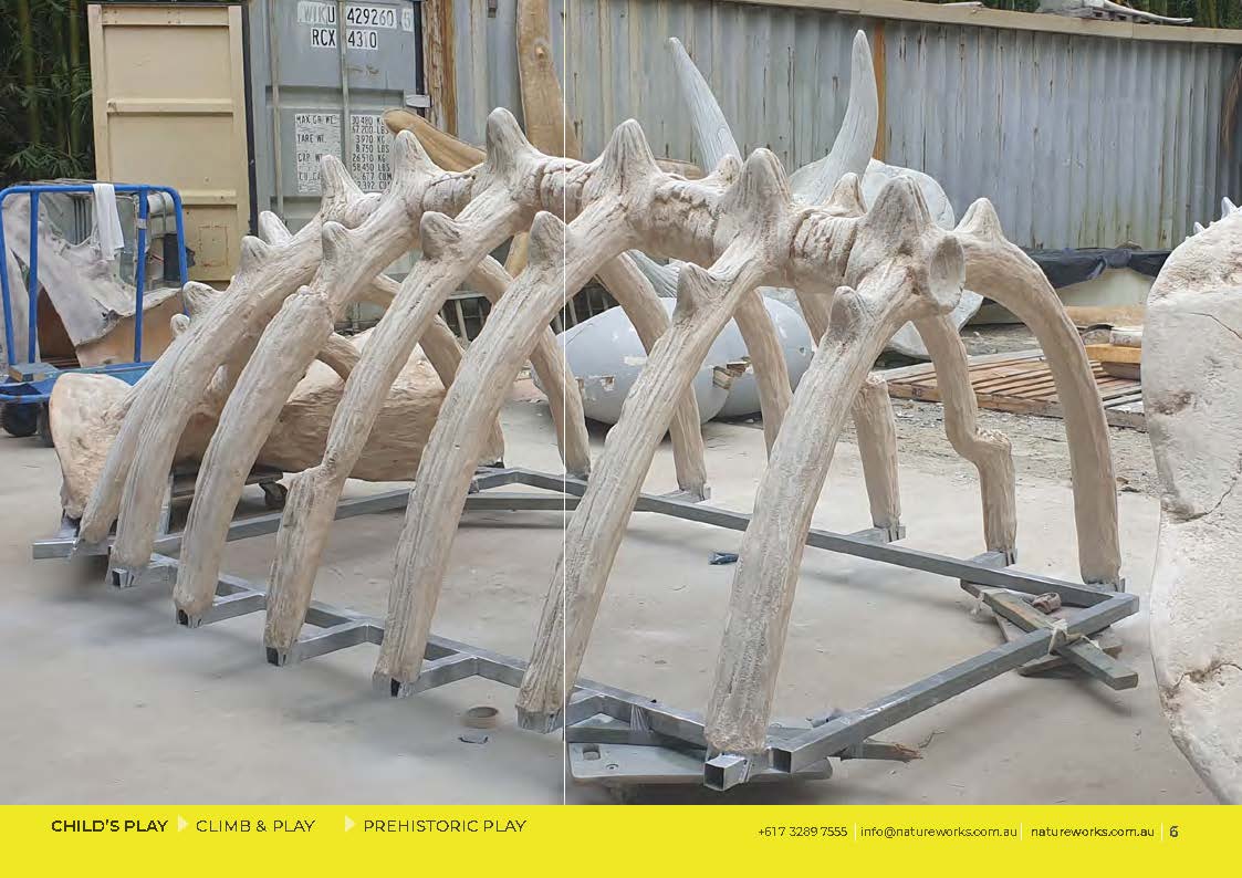 Natureworks Australia Giant Triceratops Skull and Rib cage playground equipment