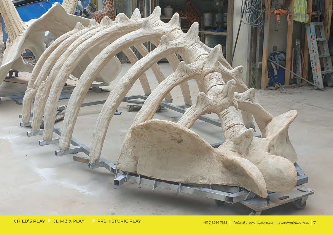 Natureworks Australia Giant Triceratops Skull and Rib cage playground equipment - Rear view of rib cage