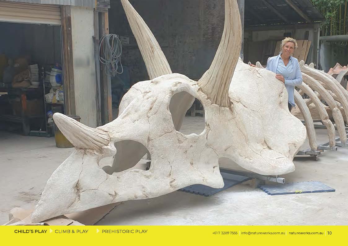 Natureworks Australia Giant Triceratops Skull and Rib cage playground equipment - front view of skull