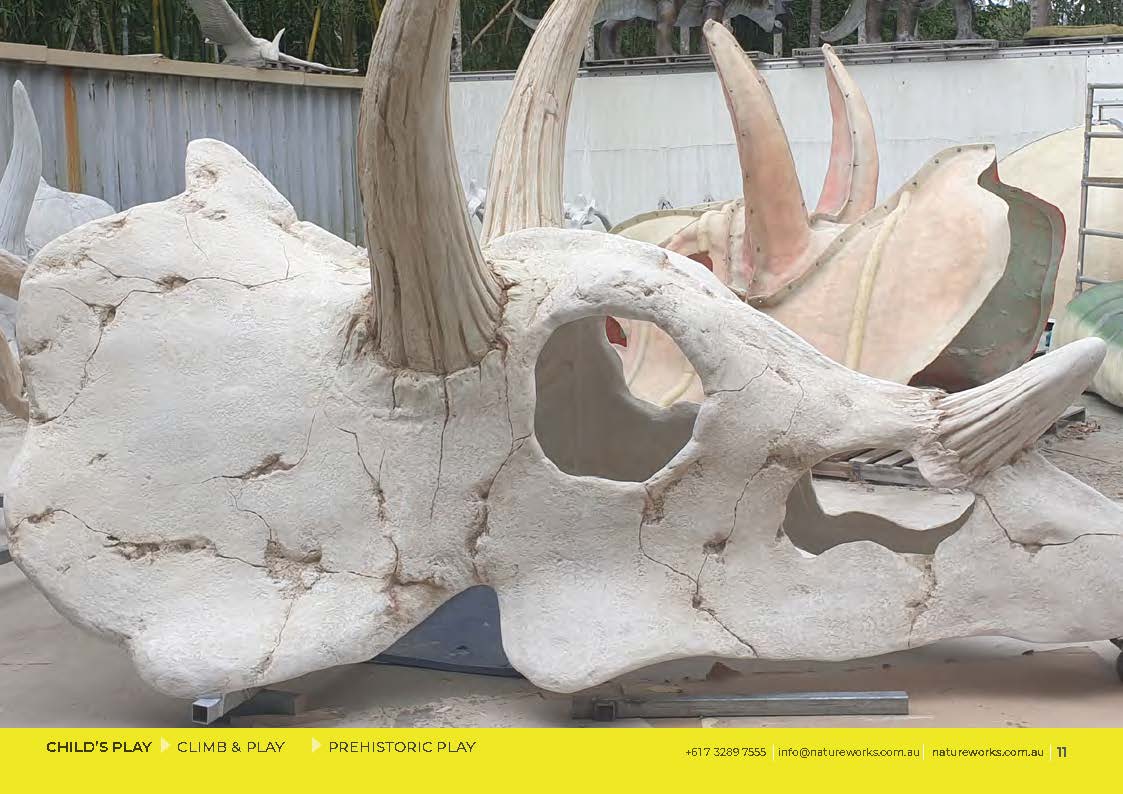 Natureworks Australia Giant Triceratops Skull and Rib cage playground equipment - side view of skull