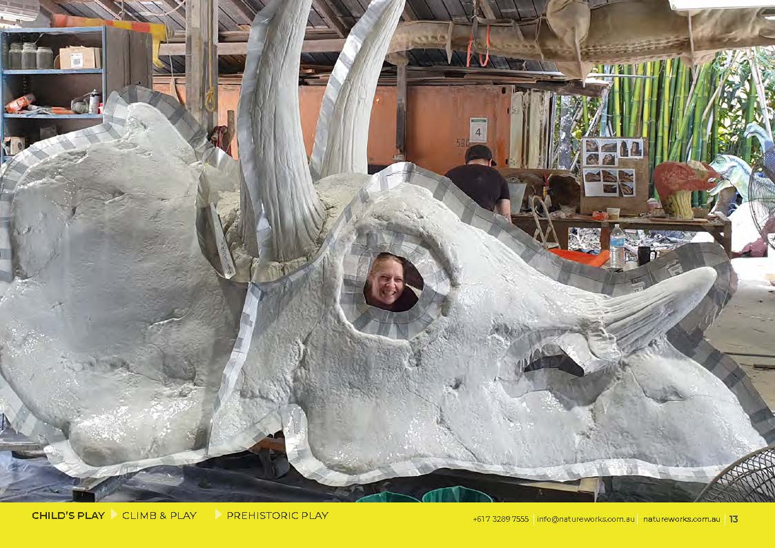 Natureworks Australia Giant Triceratops Skull and Rib cage playground equipment - during production