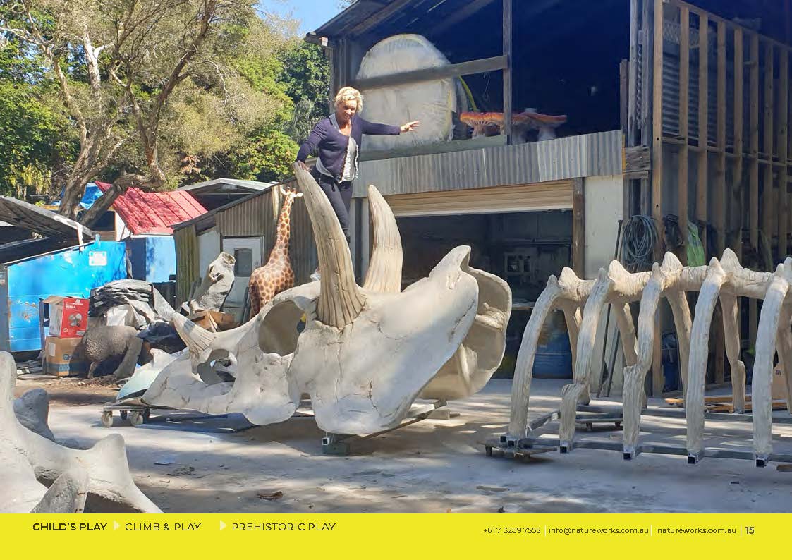 Natureworks Australia Giant Triceratops Skull and Rib cage playground equipment