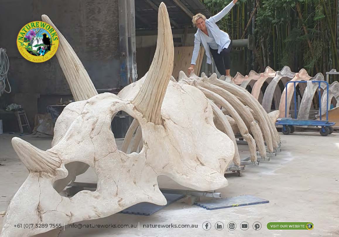 Natureworks Australia Triceratops Skull & Rib Cage Playground Climber - Image 20