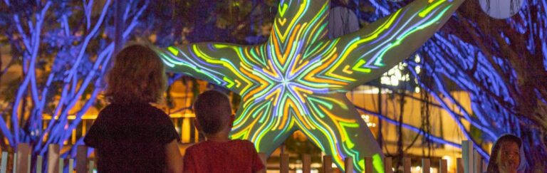 Starfish sculpture art illuminated