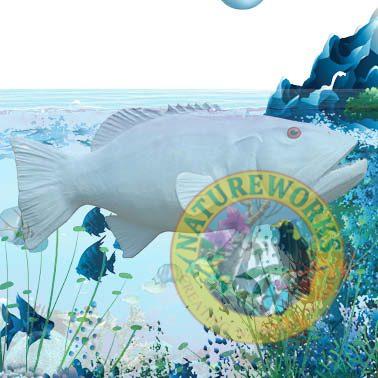 Coral Trout - White - Giant for public art displays and events - 120045White