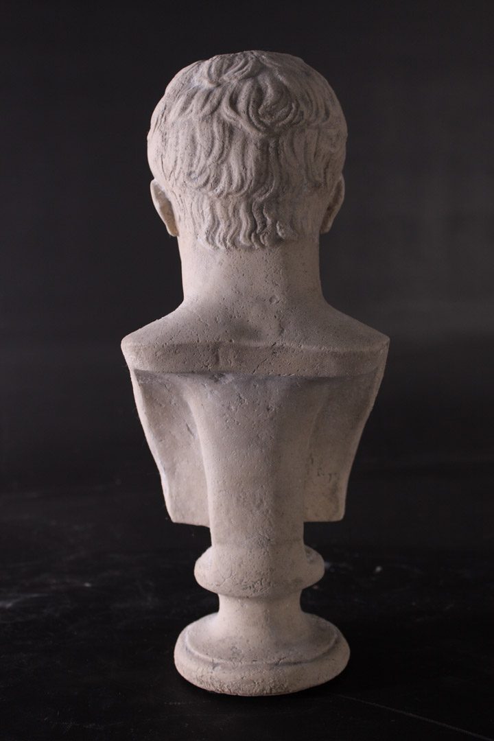 Natureworks Australia Napoleon Bust - Antonio Canova - Image 2