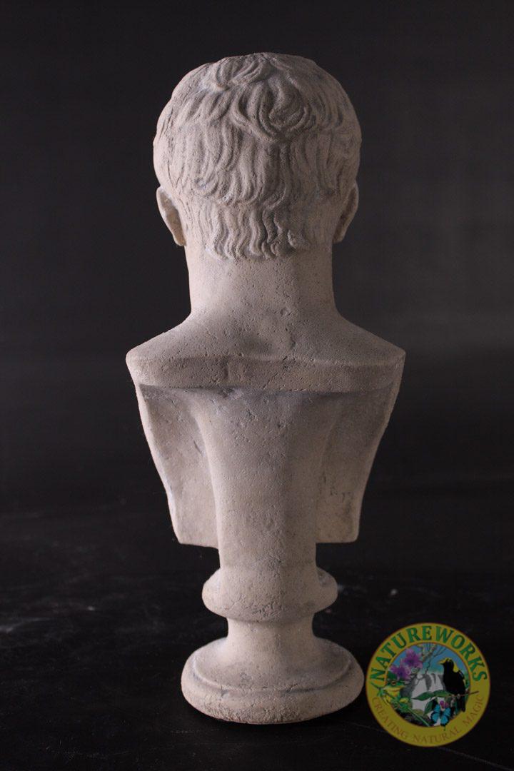 Natureworks Australia Napoleon Bust - Antonio Canova - Image 2