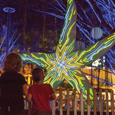 Natureworks Australia Giant Starfish in White (2m) - Image 4