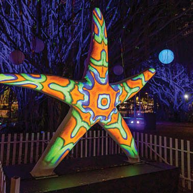 Giant Starfish in White (2m)