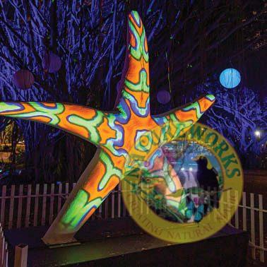 Giant Starfish in White (2m)