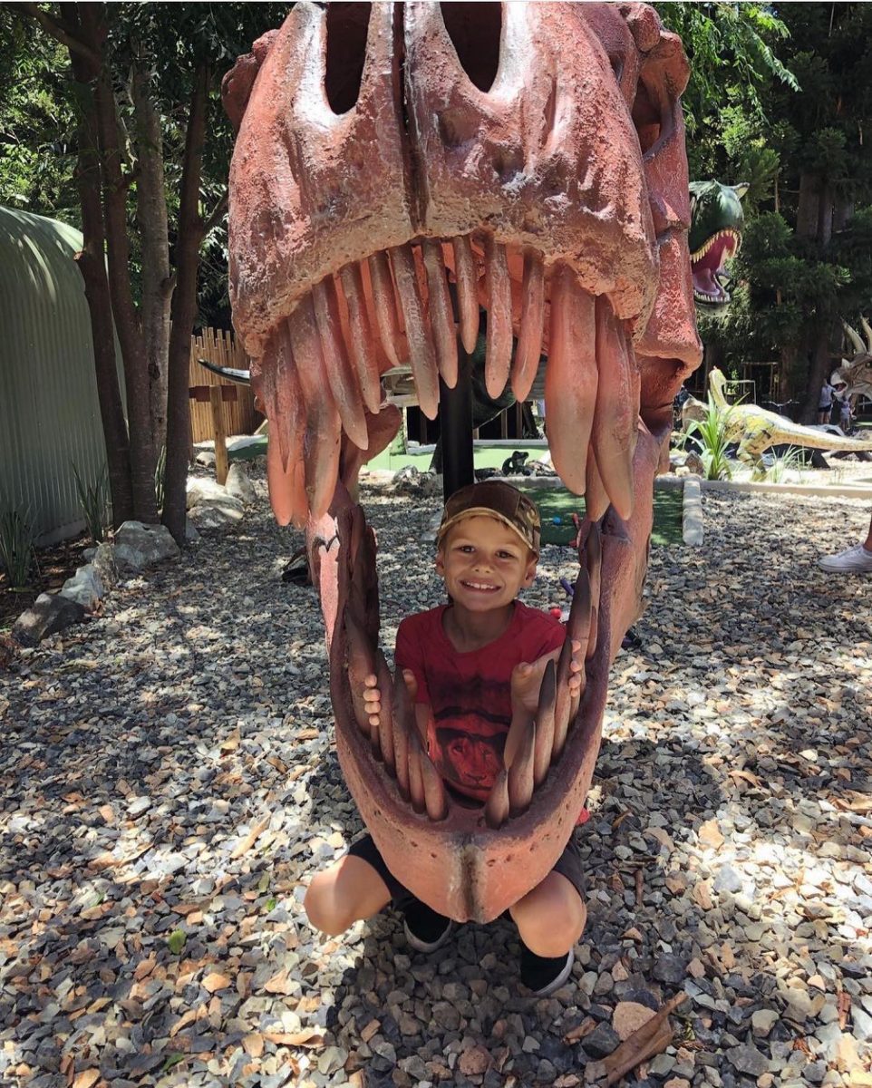 Natureworks Australia Dinosaur jaws