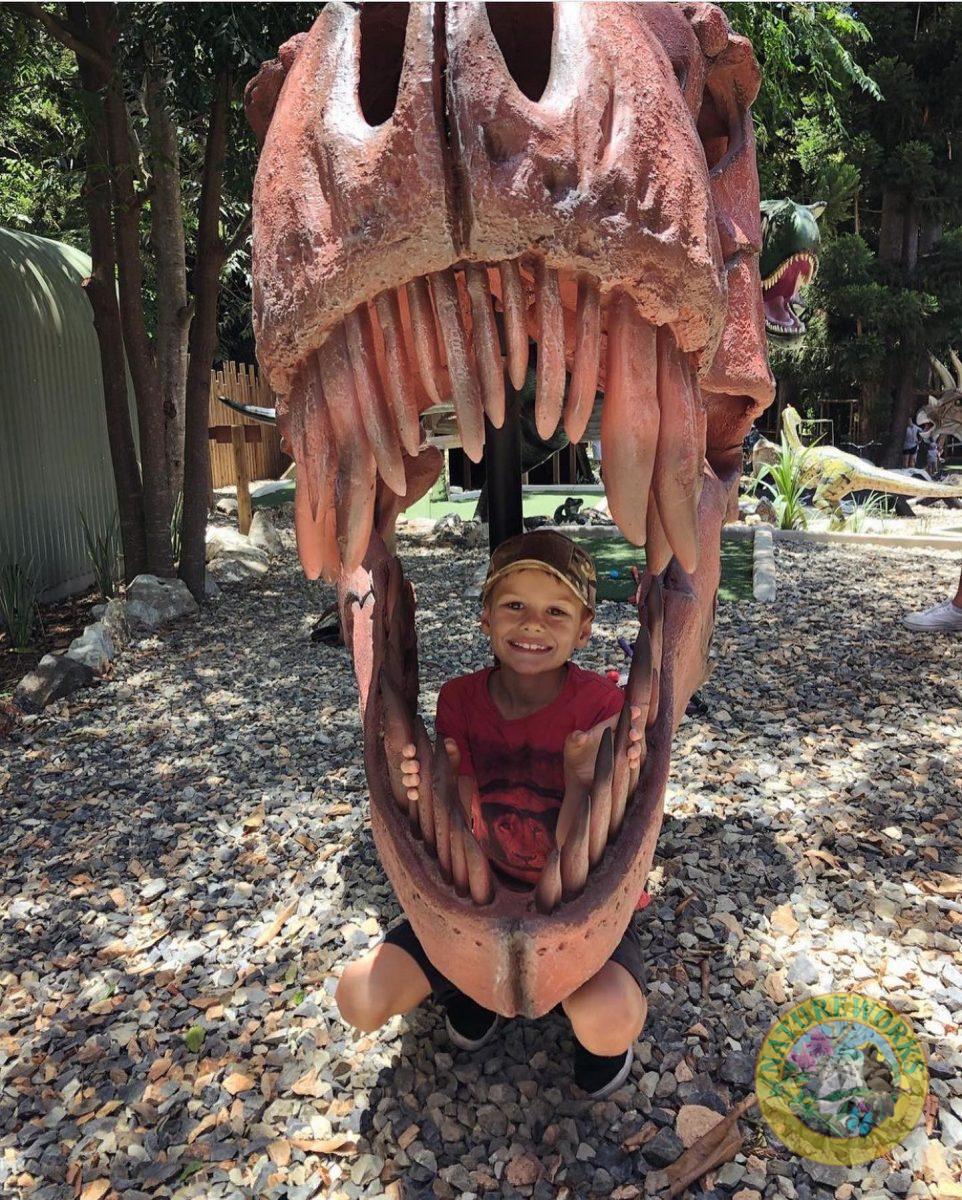 Natureworks Australia Dinosaur jaws